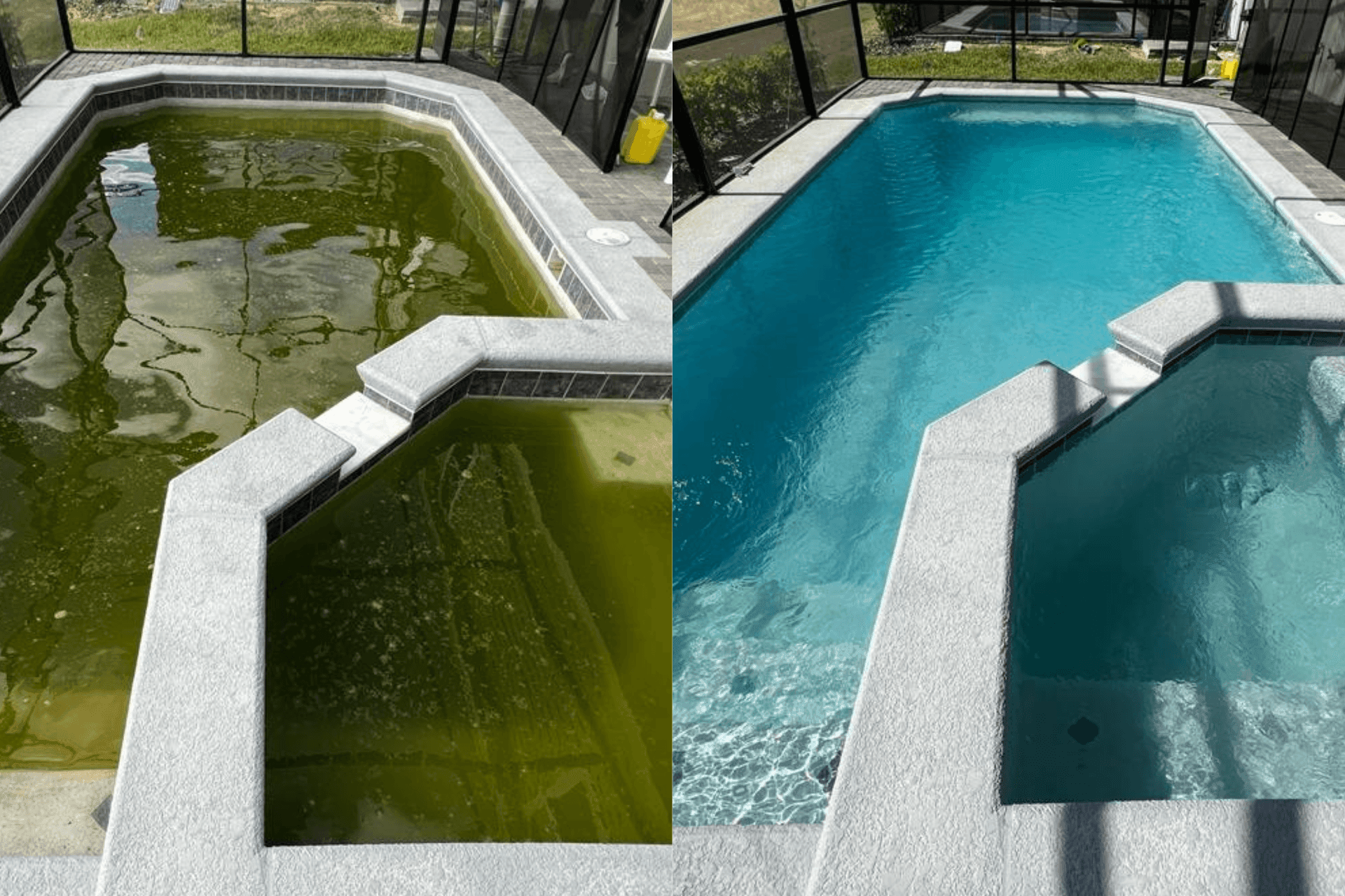 Green Pool Cleanup