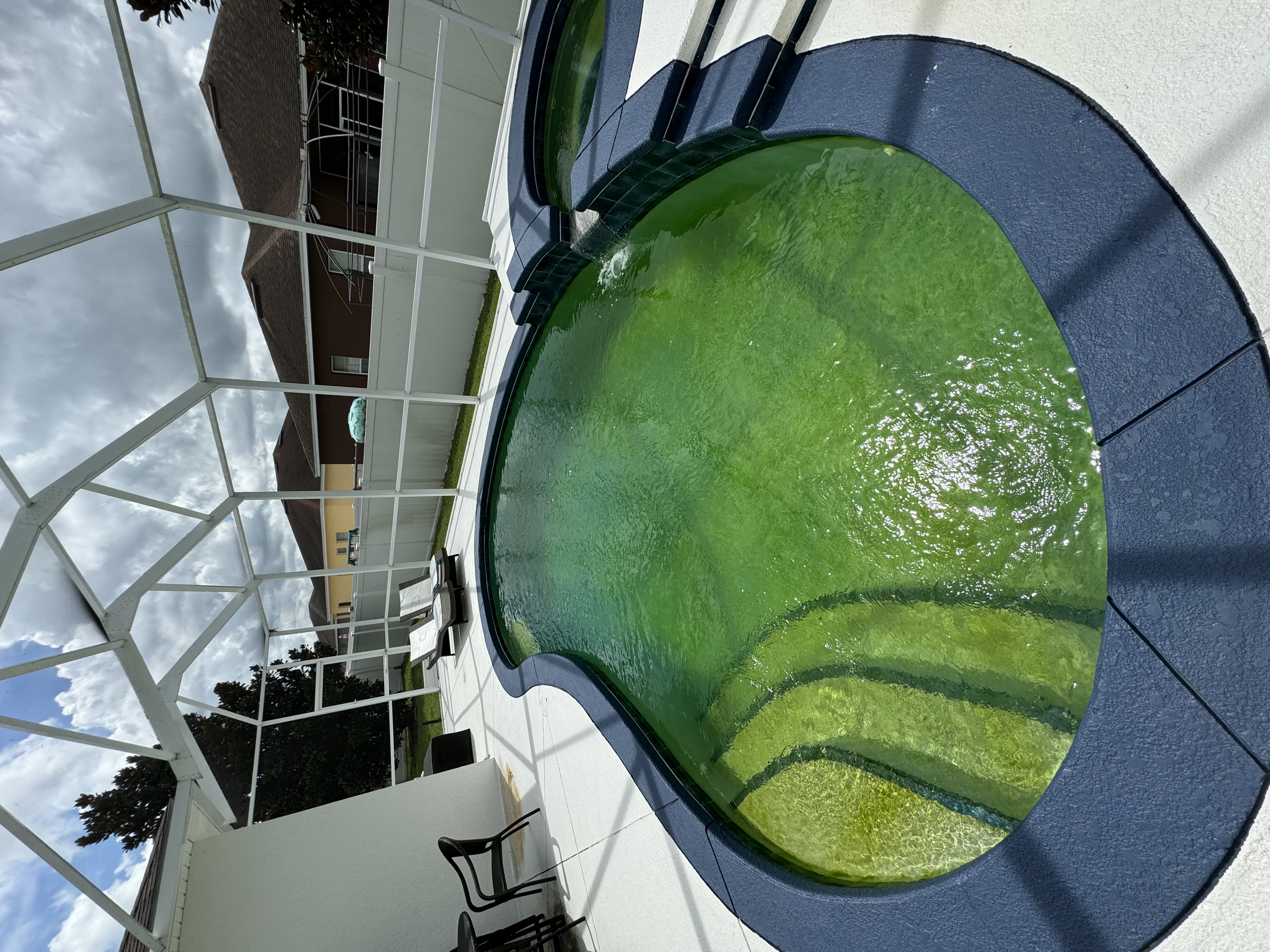 Pool before service — severe algae