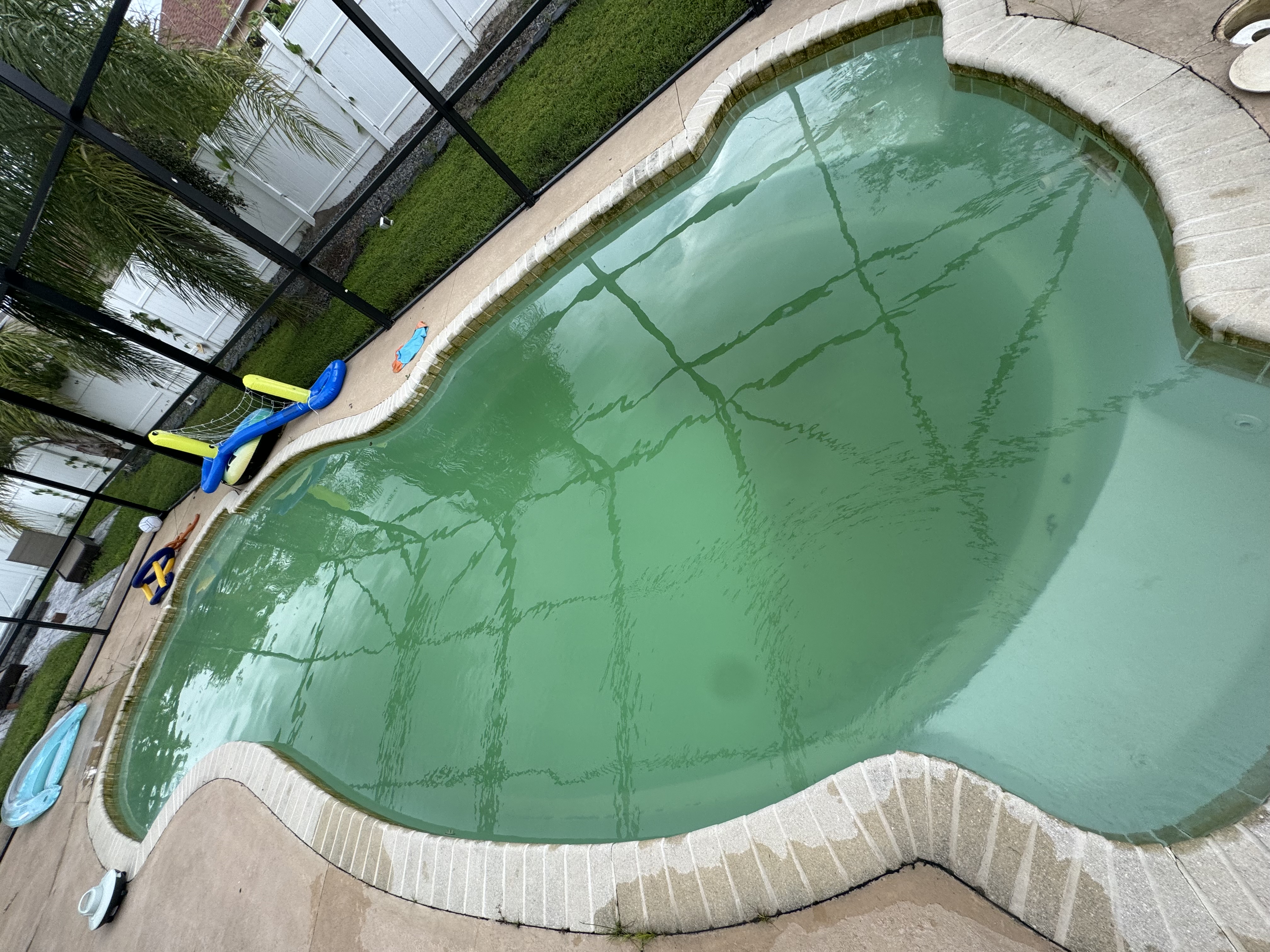 Pool before service — green water