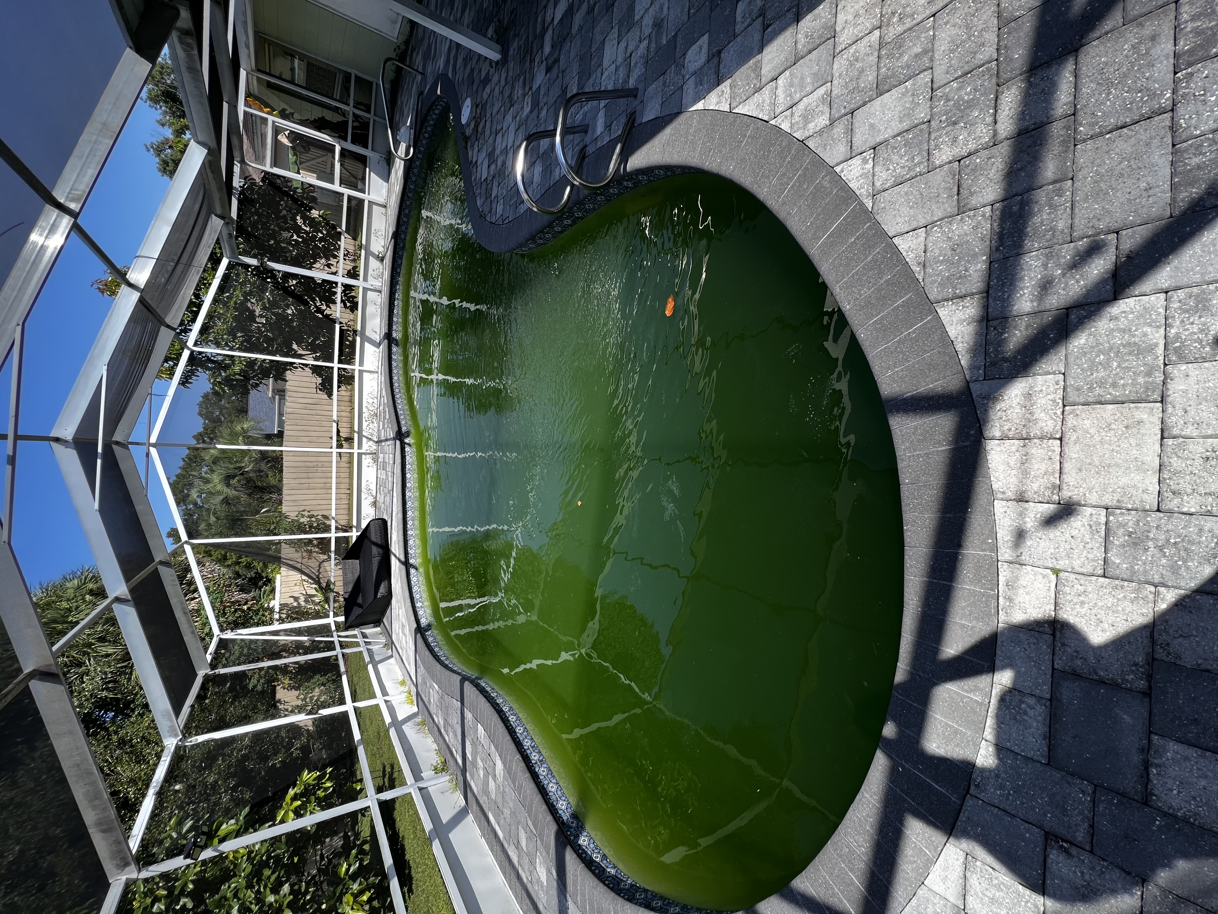 Pool needing deep cleaning
